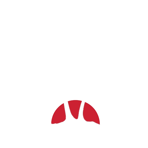 Logos Malibu-licor